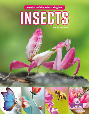 Insects INSECTS 