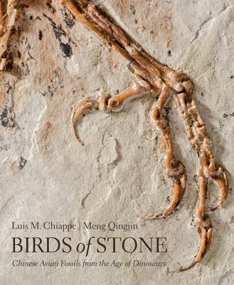 Birds of Stone: Chinese Avian Fossils from the Age of Dinosaurs BIRDS OF STONE [ Luis M. Chiappe ]