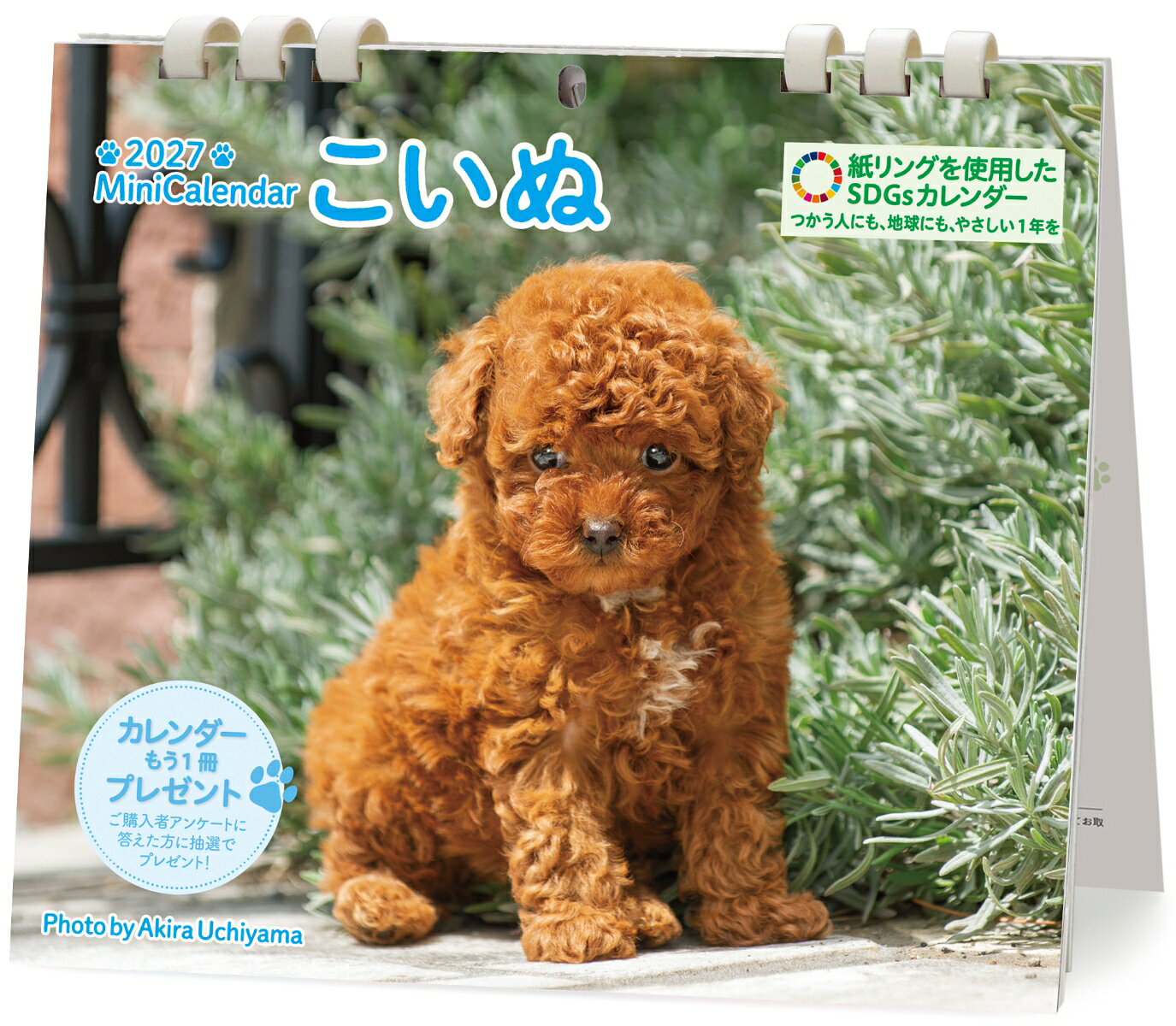 チワワ、ダックスフント、柴犬、トイプードルなど、人気犬種のかわいい子イヌの卓上カレンダー・2026年版。
日付部分はゆったり予定が書き込めます。
中心の穴を吊り穴として利用すれば壁掛けになります。