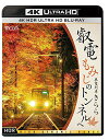 叡電 もみじのトンネルへ 展望列車きらら(4K ULTRA HD)(2)