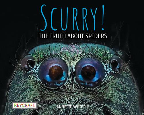 Scurry! the Truth about Spiders SCURRY THE TRUTH ABT SPIDERS [ Annette Whipple ]