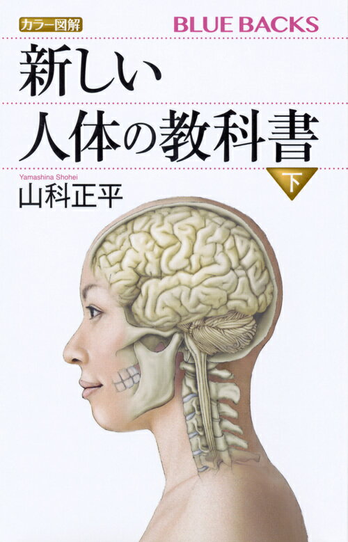 カラー図解　新しい人体の教科書　下 （ブルーバックス） [ 山科 正平 ]