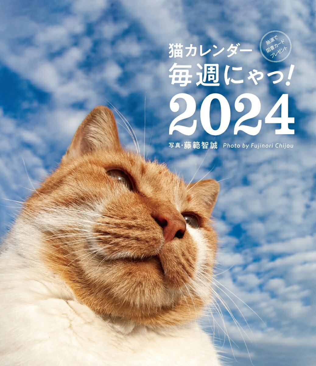 2024 猫カレンダー 毎週にゃっ! [ 藤範智誠 ]