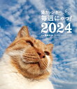 2024 猫カレンダー 毎週にゃっ! [ 藤範智誠 ]