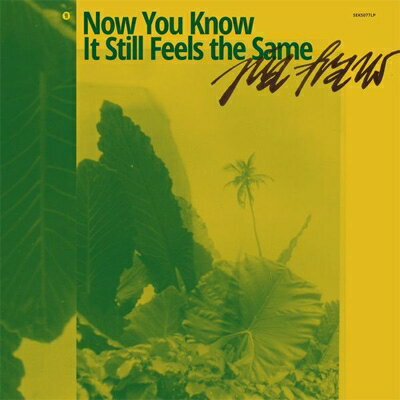 【輸入盤】Now You Know It Still Feels The Same