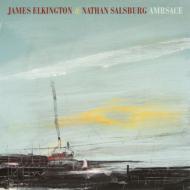 【輸入盤】Ambsace