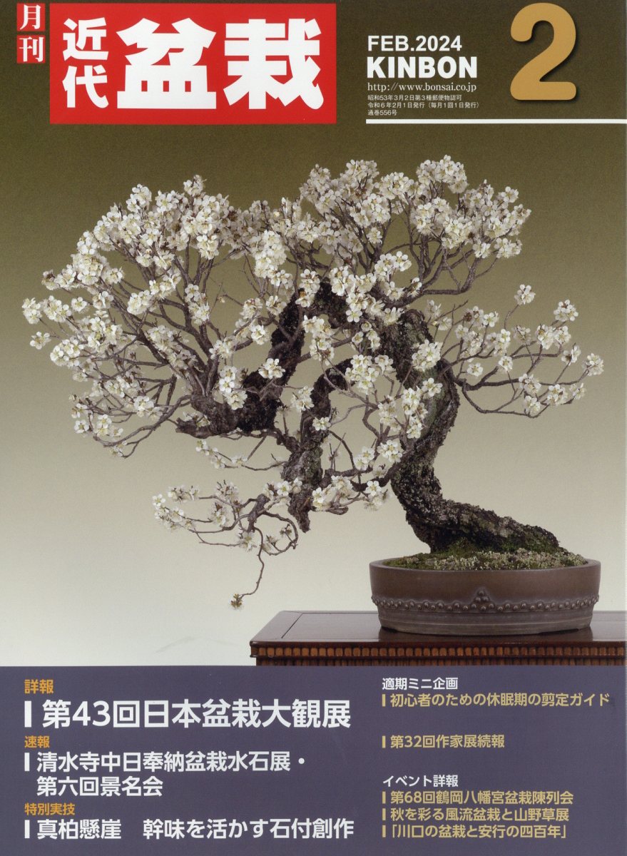 近代盆栽 2024年 2月号 [雑誌]