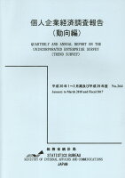 個人企業経済調査報告（動向編）（平成29年度）