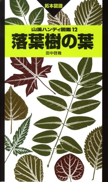 落葉樹の葉 拓本図譜 （山渓ハンディ図鑑） [ 田中啓幾 ]