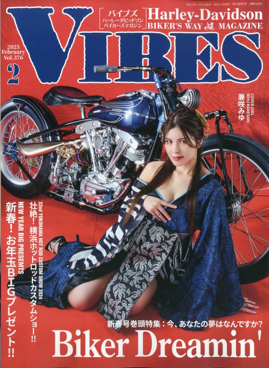 VIBES (バイブス) 2025年 2月号 [雑誌]