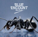 Survivor (初回限定盤 CD＋DVD) BLUE ENCOUNT