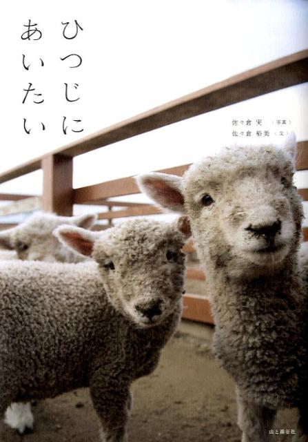 ひつじにあいたい [ 佐々倉実 ]のサムネイル