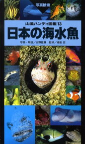 日本の海水魚 （山渓ハンディ図鑑） [ 吉野雄輔 ]