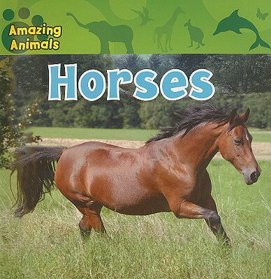 ー Striking photos capture each animal and its habitat
ー Information about animal conservation and protection
ー Fun quiz to test reading comprehension