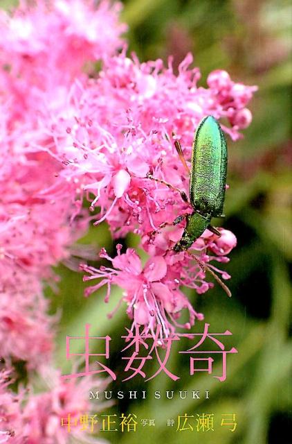 虫数奇