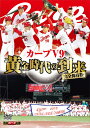 (スポーツ)カンゼンホゾンバン カープブイナイン オウゴンジダイノトウライ 発売日：2018年12月12日 予約締切日：2018年12月08日 広島テレビ放送 【映像特典】 たっぷり見せます!歓喜のビールかけ／歓喜の声!優勝直後スペシャルインタビュー HTVDVDー0018 JAN：4560347860263 16:9LB カラー 日本語(オリジナル言語) リニアPCMステレオ(オリジナル音声方式) 日本 2018年 KANZEN HOZON BAN CARP V9 OUGON JIDAI NO TOURAI DVD ドキュメンタリー スポーツ スポーツ 野球