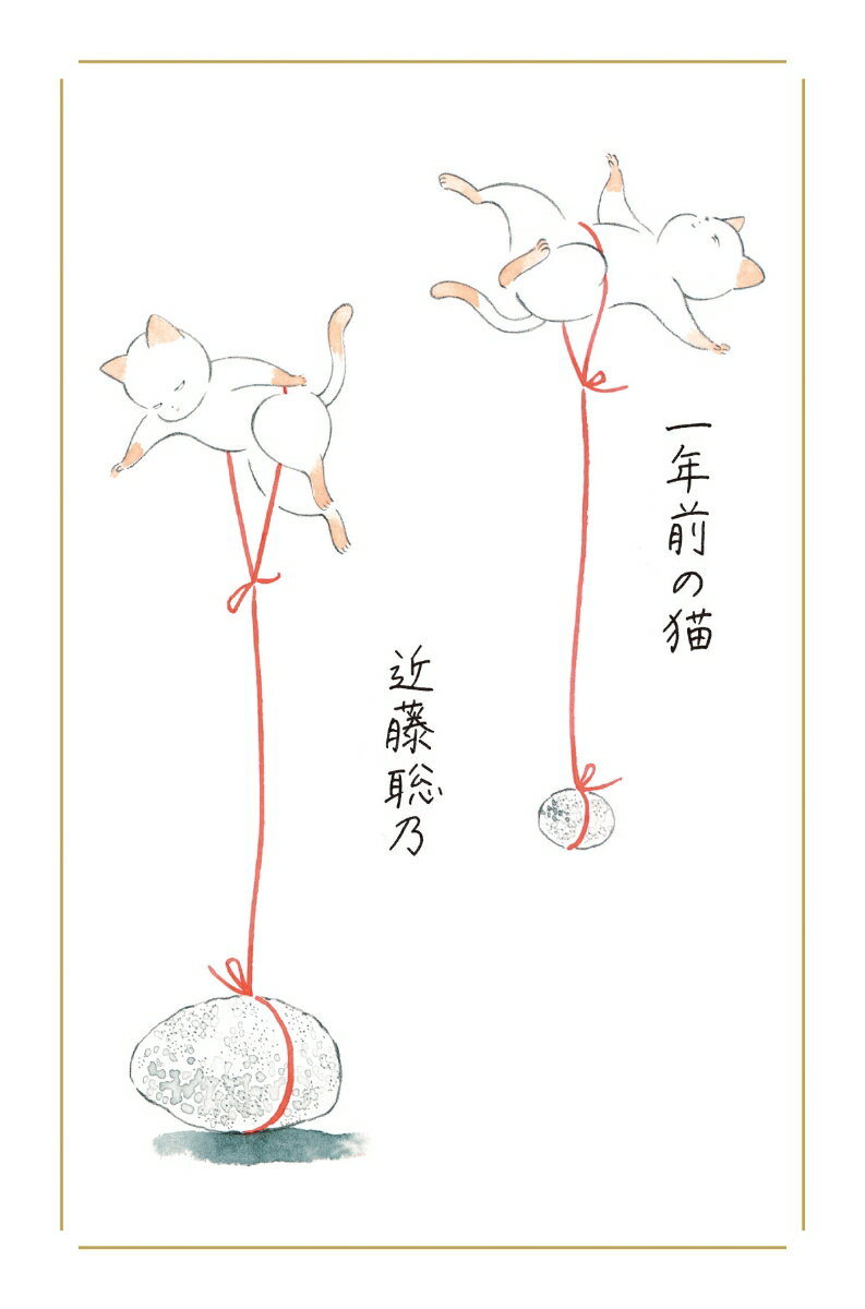 一年前の猫