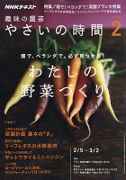 NHK 趣味の園芸 やさいの時間 2017年 02月号 [雑誌]