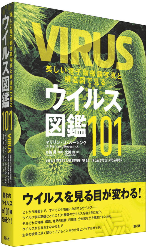 ヒトから細菌まで、すべての生物種に存在するウイルスーウイルス学の基礎とともに１０１種類のウイルスを宿主別に紹介。それぞれの特徴、構造、発見の経緯、利用法、分布図などを簡潔にまとめた。ウイルスがさまざまなかたちで生命の根源に深く関わっていることがわかるビジュアルガイド。