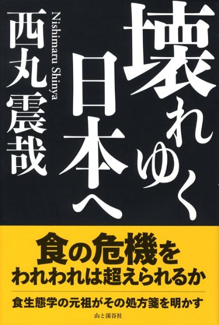 壊れゆく日本へ