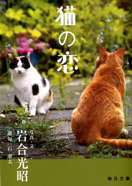 猫の恋