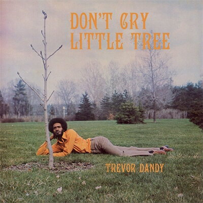 【輸入盤】Don't Cry Little Tree [ Trevor Dandy ]