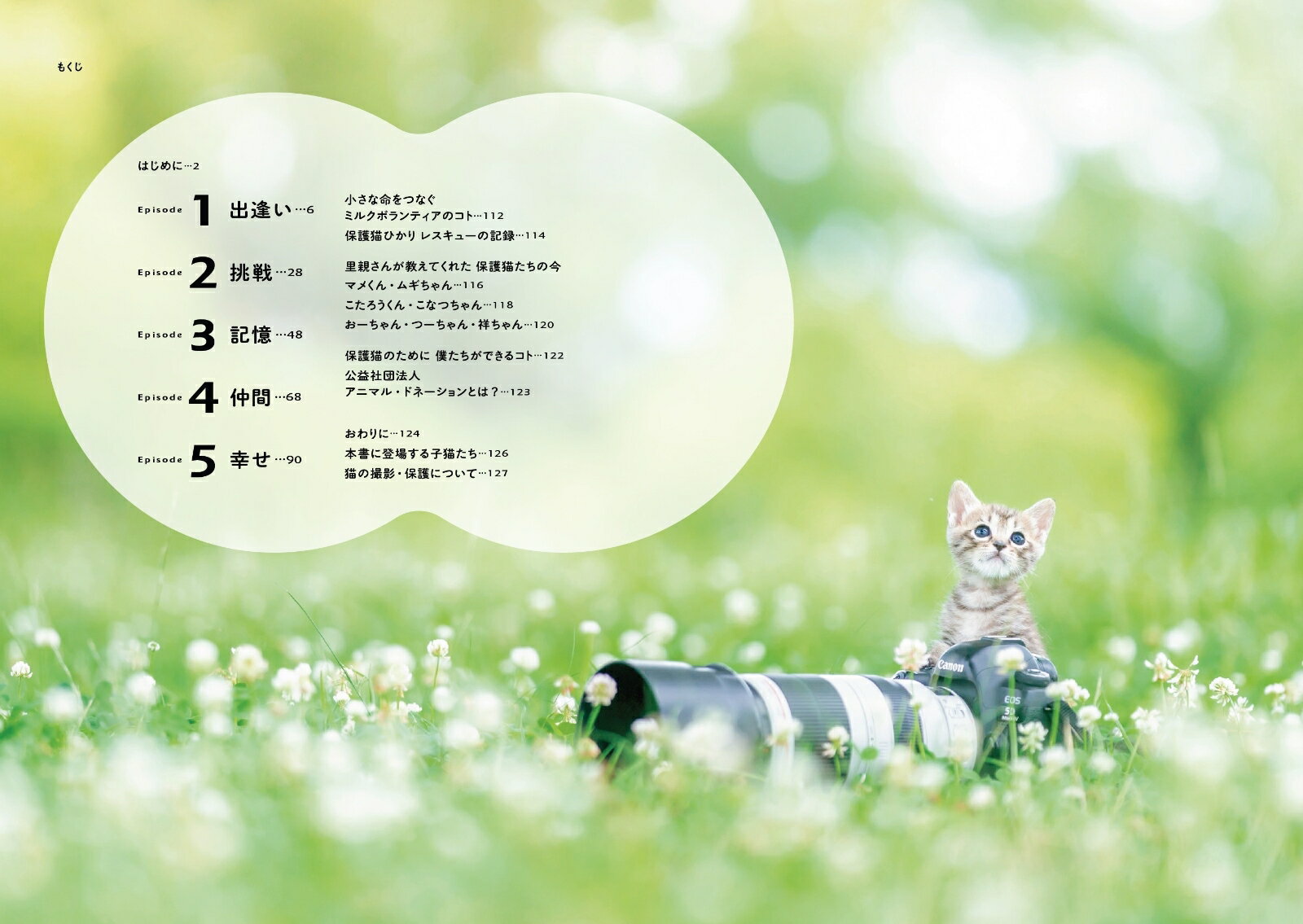 ひだまりのあしあと　保護猫たちのキセキ [ 三吉 良典 ] 3