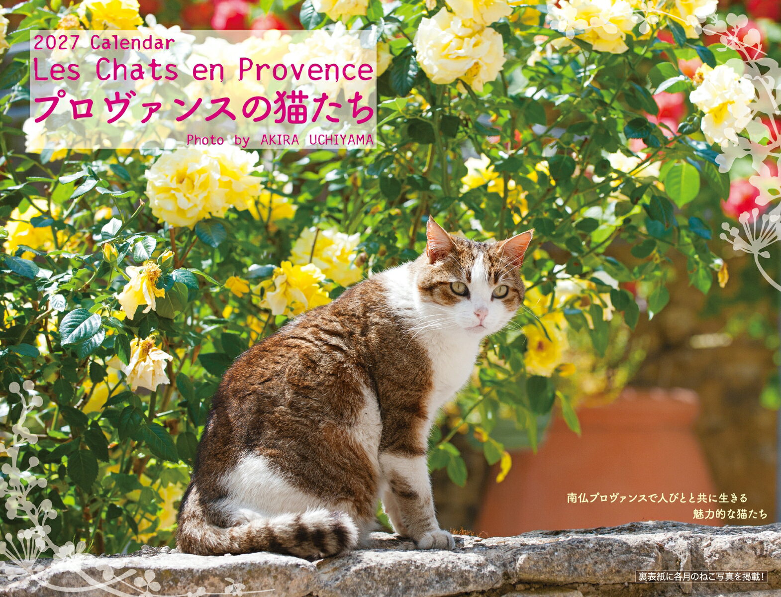 プロヴァンスの猫たちカレンダー 2027