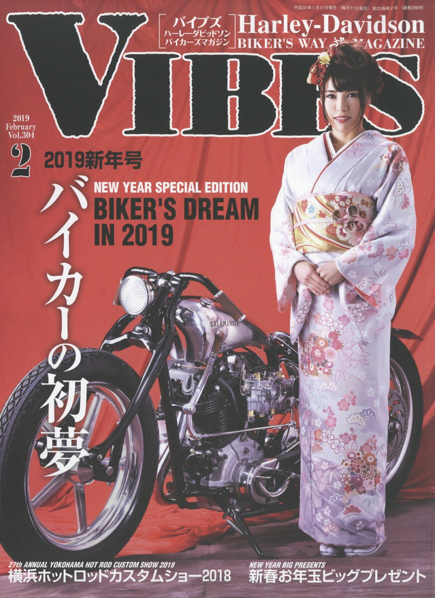 VIBES (バイブス) 2019年 02月号 [雑誌]