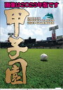 甲子園球場(2024年1月始まりカレンダー) - 楽天ブックス