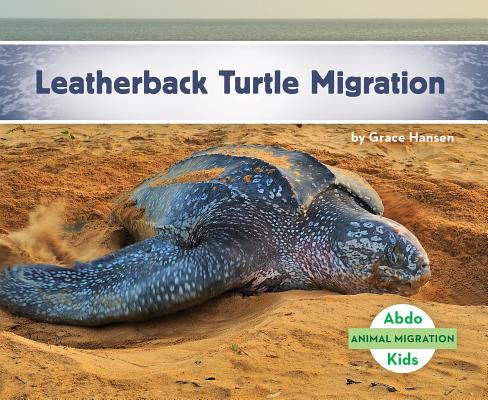 Leatherback Turtle Migration LEATHERBACK TURTLE MIGRATION （Animal Migration Set 1） 