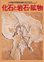 化石と岩石・鉱物