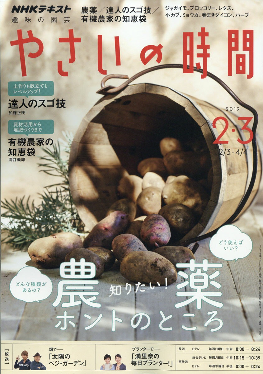 NHK 趣味の園芸 やさいの時間 2019年 02月号 [雑誌]