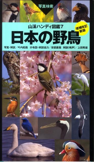 日本の野鳥増補改訂新版