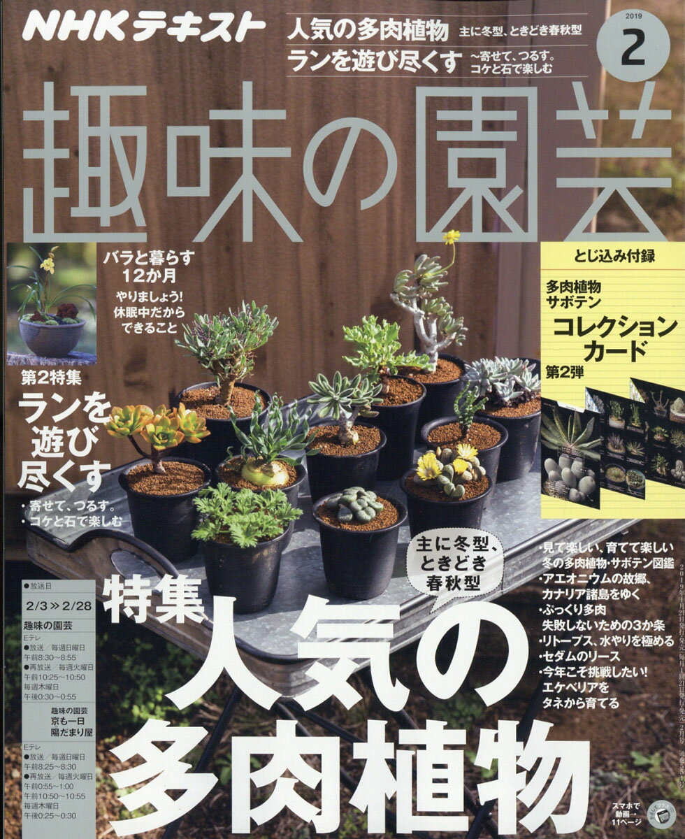 NHK 趣味の園芸 2019年 02月号 [雑誌]