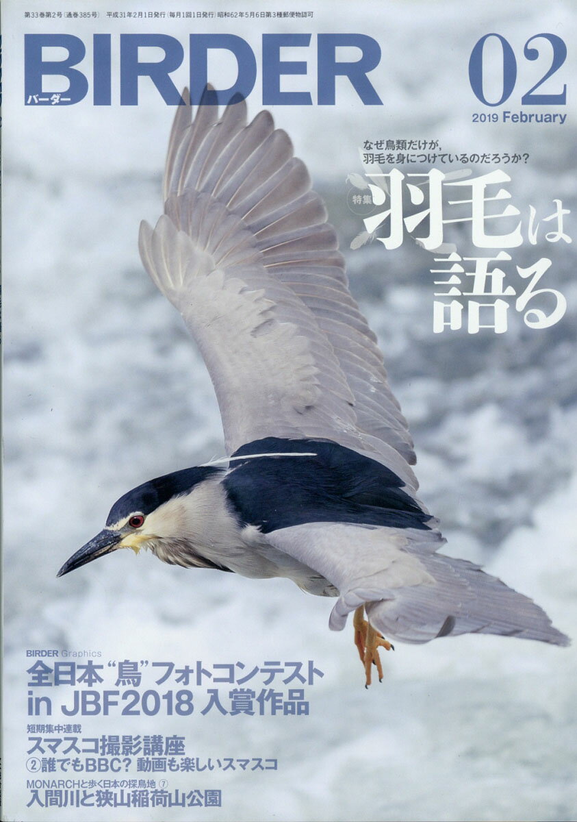 BIRDER (バーダー) 2019年 02月号 [雑誌]