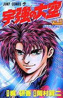 宇強の大空（13）