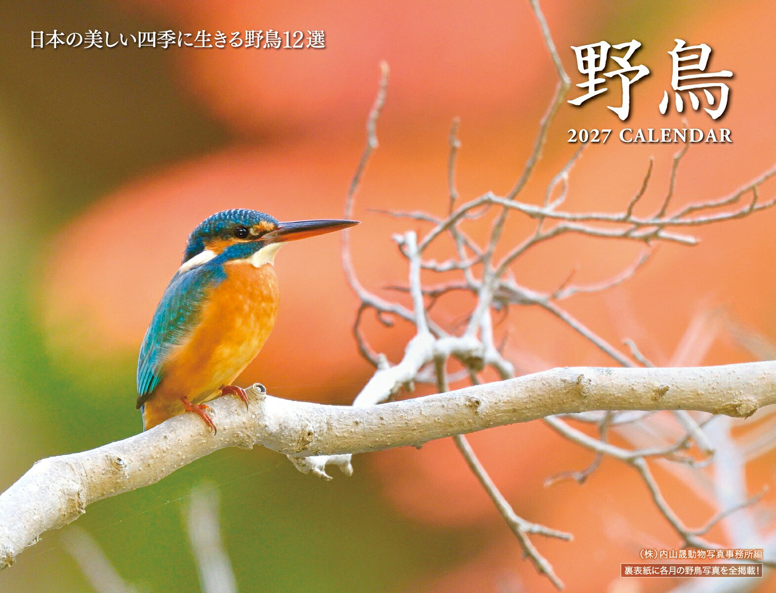 2027年版・壁掛用カレンダー（月めくり）。
美しい日本の風景と野鳥が、四季と共に楽しめる。
長年、野鳥好きの多くの人びとから愛されています。
日付部分はゆったり予定が書き込めます。

美しい日本の風景と野鳥の姿を、四季とともに楽しめる
長年野鳥ファンに愛されてきた2027年 野鳥カレンダーです。
【写真の見どころ】各月のページには、・野鳥の簡単な特徴紹介・撮影地（都道府県）・撮影データ（シャッタースピード・絞り・ISO感度など）を掲載。 野鳥写真ファンにも満足いただける内容です。
【使いやすいカレンダー機能】・予定が書き込みやすい、見やすい日付デザイン・六曜（大安・仏滅）入り・月の満ち欠け（満月・新月）を掲載・二十四節気（立春・夏至・秋分など）も表示・祝日表記もわかりやすく、日常使いに便利
【大きく見やすい壁掛けサイズ】B4変型の大きめサイズで写真もカレンダーも見やすい設計。 壁に掛けたときは見開きで天地52cm × 左右34cmになり、視認性が高く、お部屋に飾っても存在感のある仕上がりです。
【自然と野鳥が好きな方におすすめ】 ・バードウオッチングが趣味の方 ・自然が好き・野鳥が好き・癒されたい方・リビングや寝室に季節感を添えたい方・家族みんなで楽しめるカレンダーを探している方
四季を感じる日本の風景と野鳥の美しさが詰まった、癒しの2027年カレンダー。プレゼントにも喜ばれる内容です。