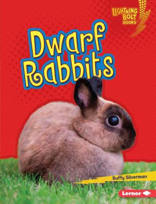 Dwarf Rabbits DWARF RABBITS （Lightning Bolt Books (R) -- Little Pets） [ Buffy Silverman ]