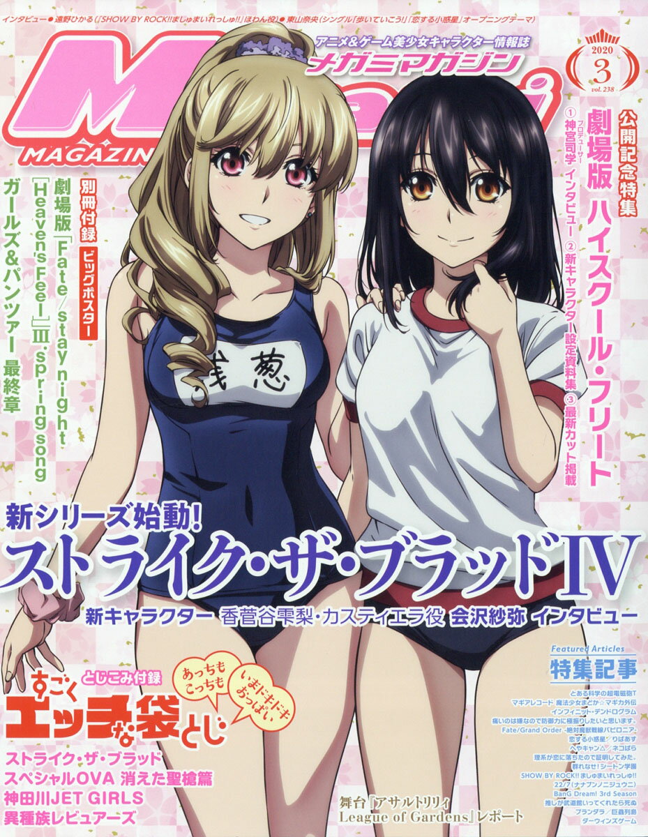 Megami MAGAZINE (メガミマガジン) 2020年 03月号 [雑誌]