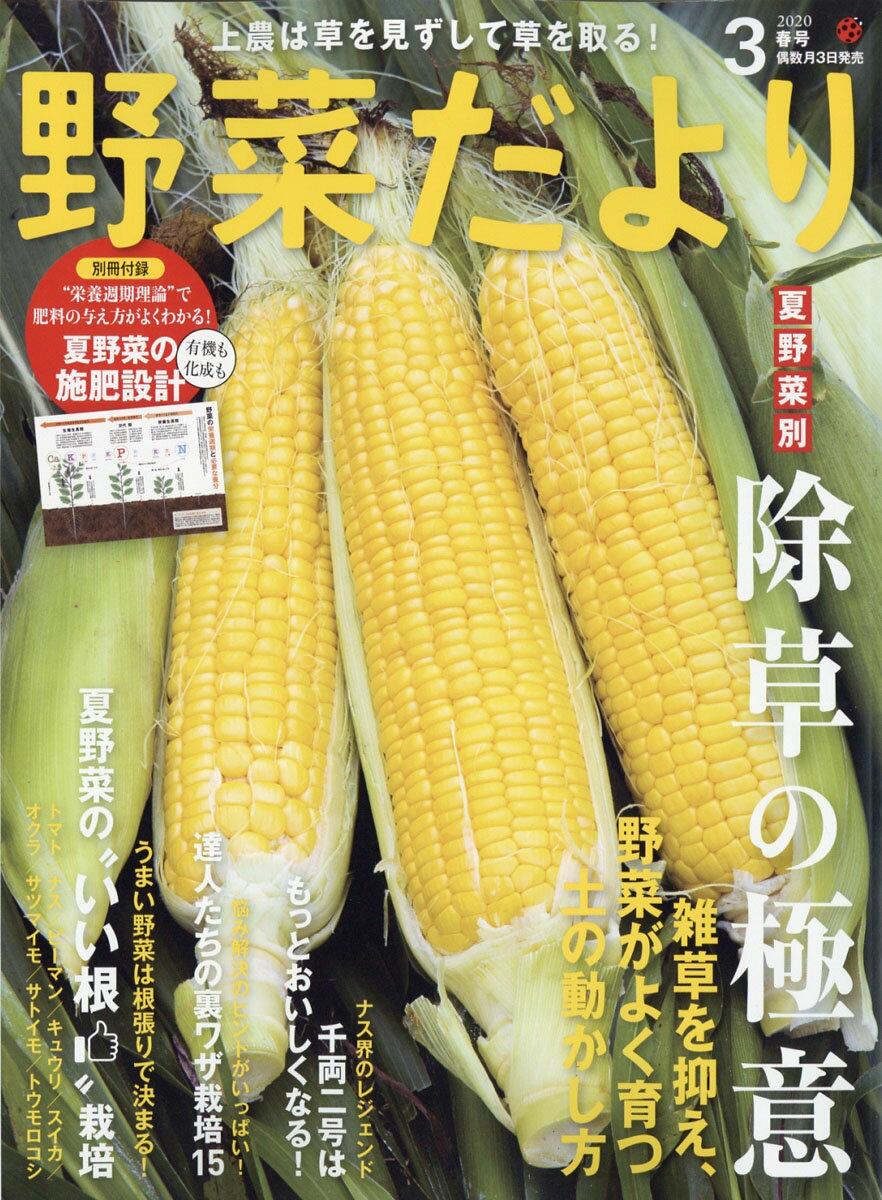 野菜だより 2020年 03月号 [雑誌]