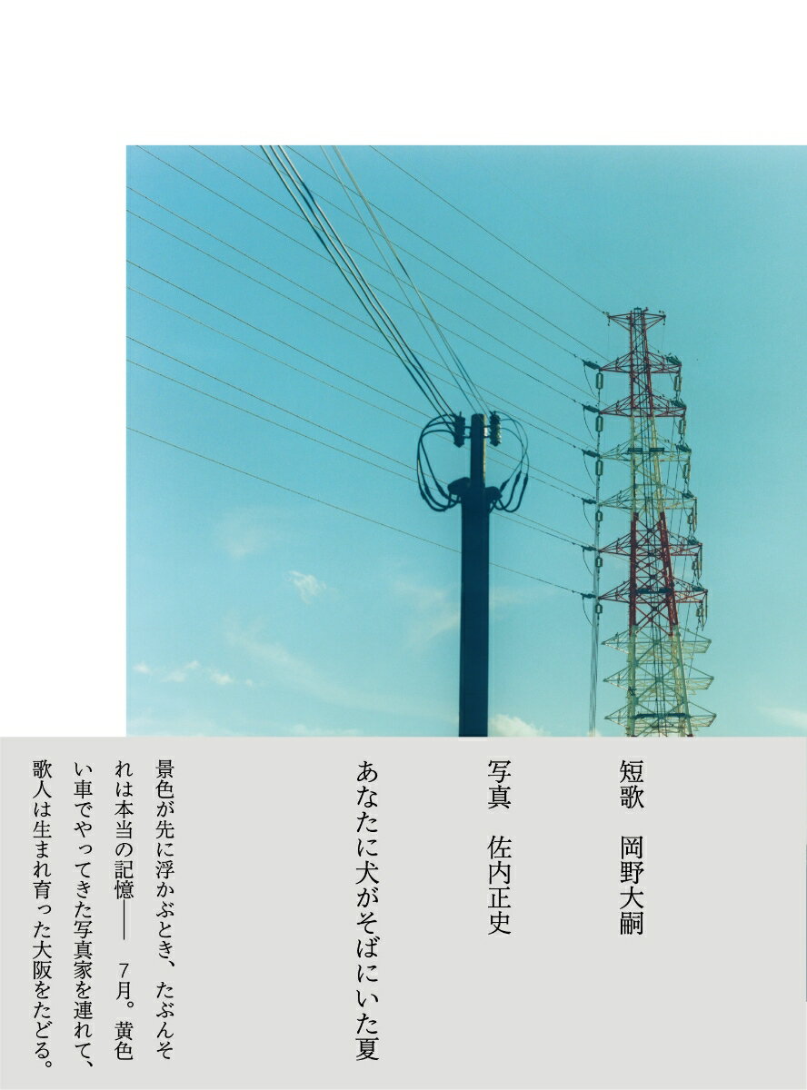 あなたに犬がそばにいた夏 [ 岡野大嗣 ]のサムネイル