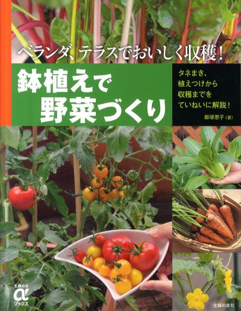 鉢植えで野菜づくり ベランダ、テラスでおいしく収穫！ （主婦の友αブックス） [ 飯塚恵子 ]