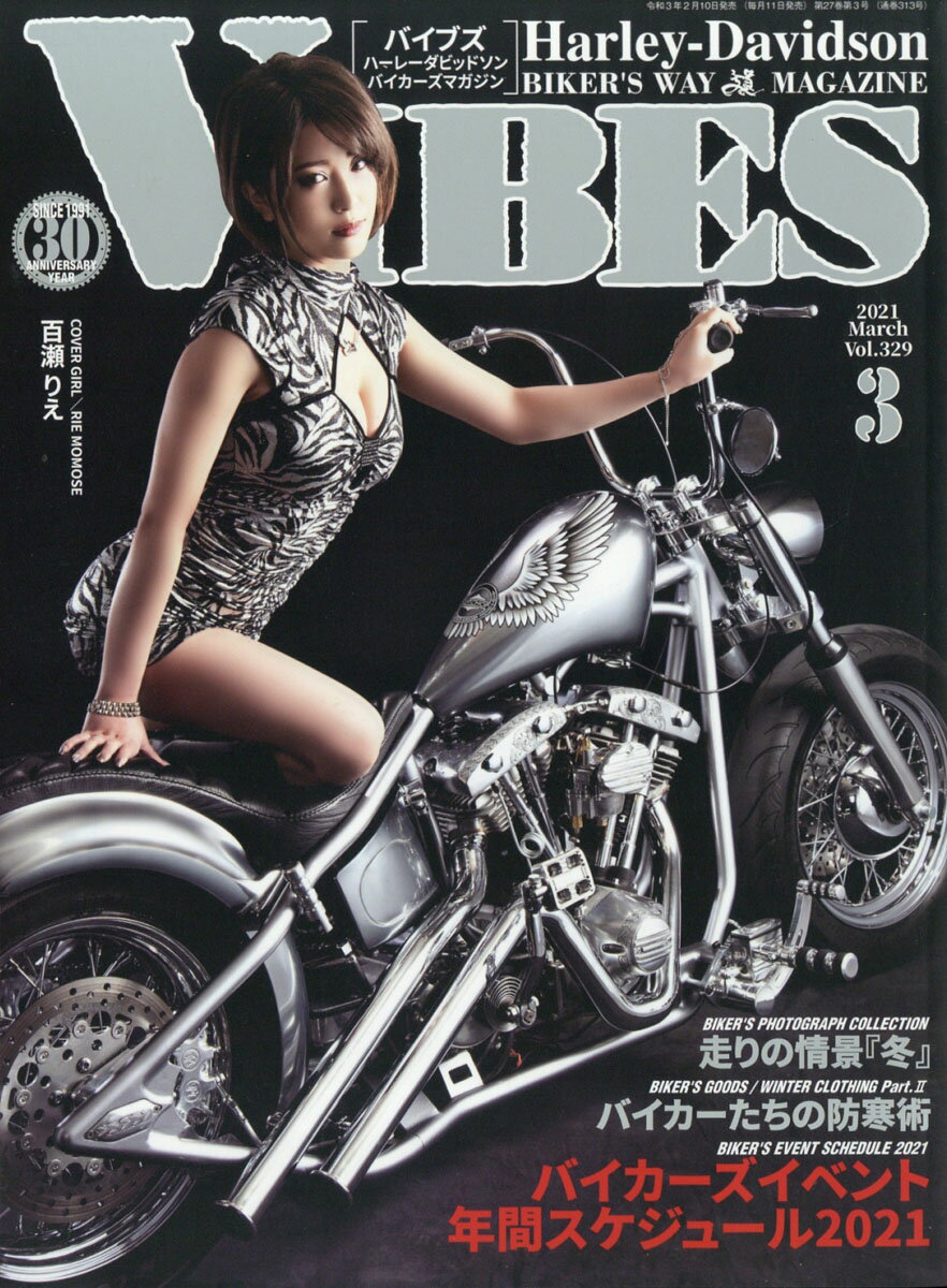 VIBES (バイブス) 2021年 03月号 [雑誌]
