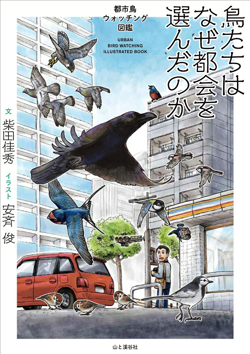 鳥たちはなぜ都会を選んだのか [ 柴田佳秀 ] book-21973069 楽天ブックス サンプル画像2