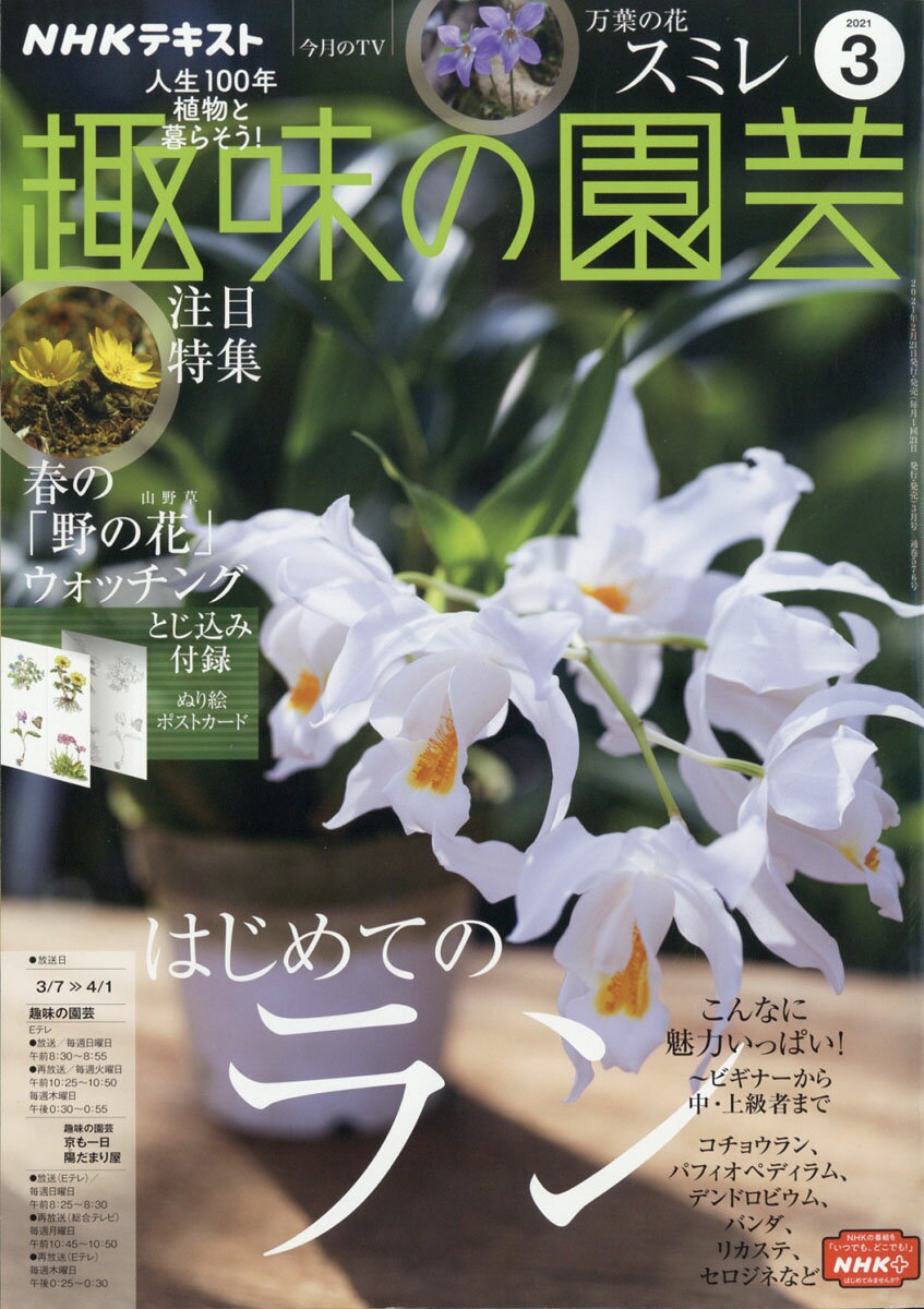 NHK 趣味の園芸 2021年 03月号 [雑誌]