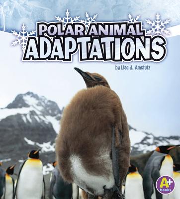 Polar Animal Adaptations POLAR ANIMAL ADAPTATIONS （Amazing Animal Adaptations） [ Lisa J. Amstutz ]