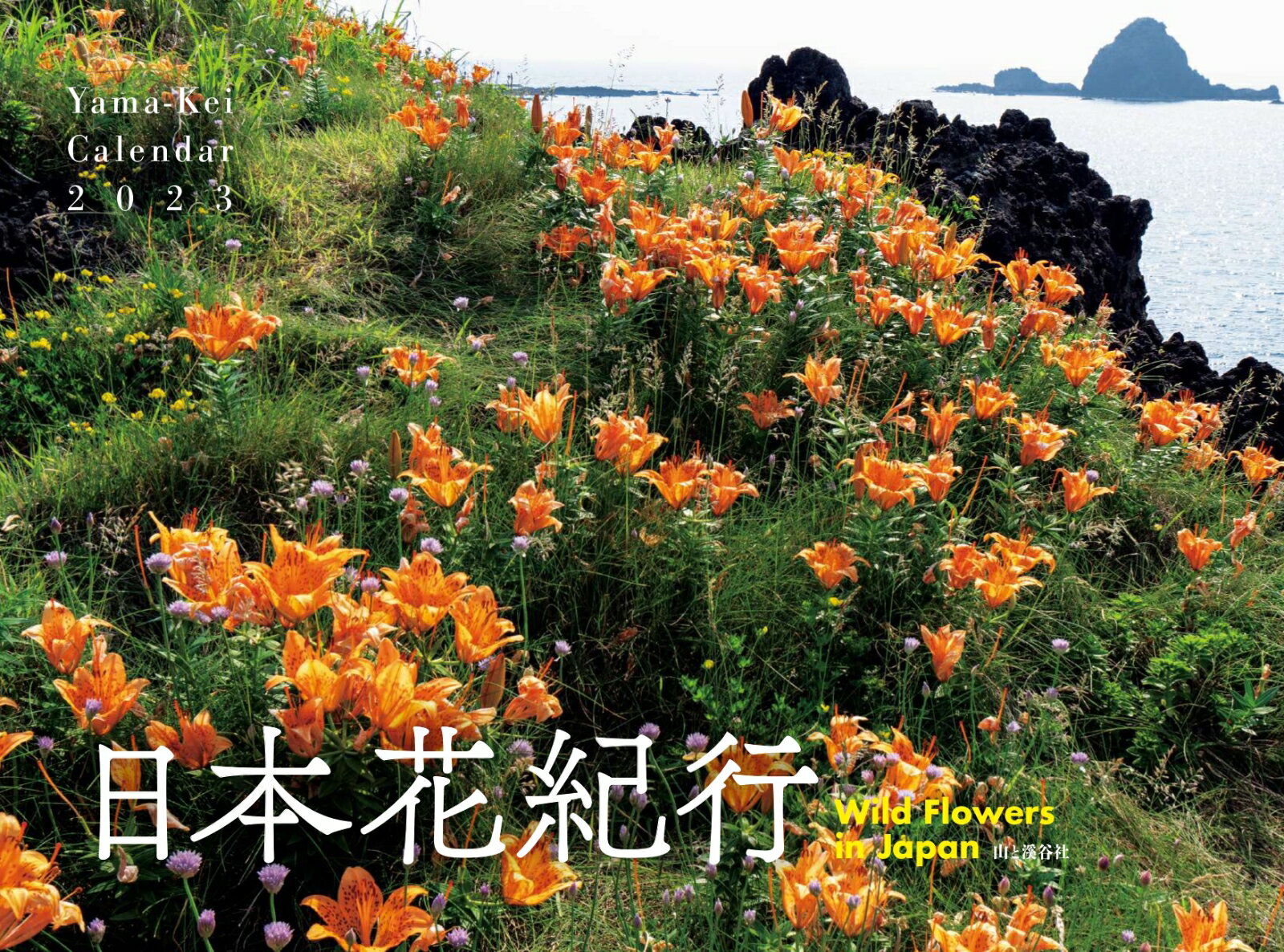 ���ֵܲ��ԥ���������2023��