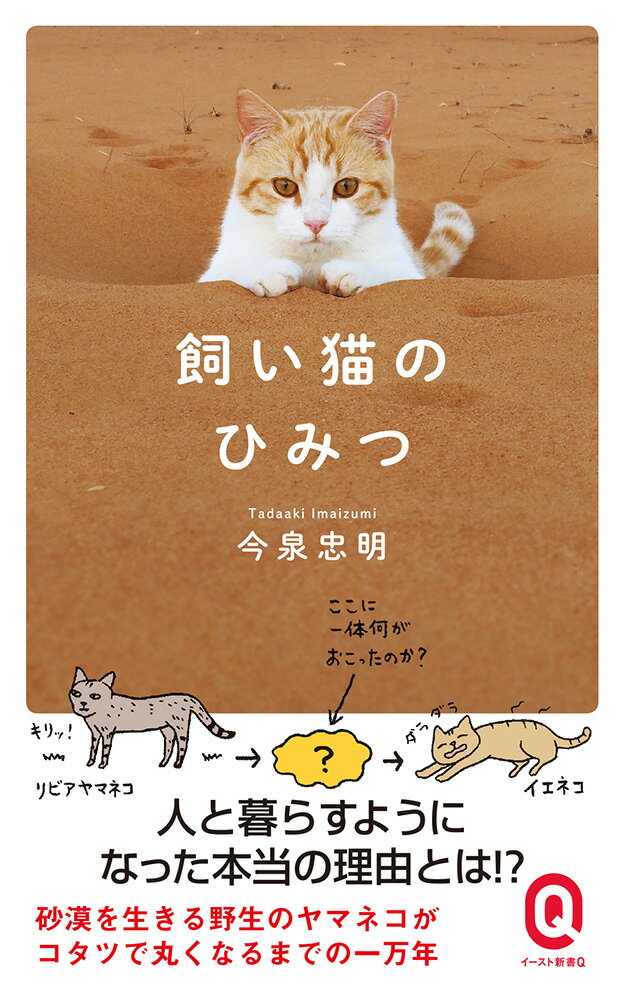 猫のルーツには謎が多い。飼い猫として愛される「イエネコ」の祖先は地中海東岸に棲息したリビアヤマネコだが、古代人たちはいかにして賢く獰猛な野生ネコをペットにすることができたのか？野性を捨てた猫たちはやがて神の遣いとして崇拝されるが、のちに魔女の仲間や妖怪とされ受難の日々を送る。いつの時代にも猫たちはのんびりと過ごしているだけなのに、人はなぜこんなにも猫に惑わされてしまうのか？生物学者が説く、猫が人と歩んだ一万年の進化と歴史の話。