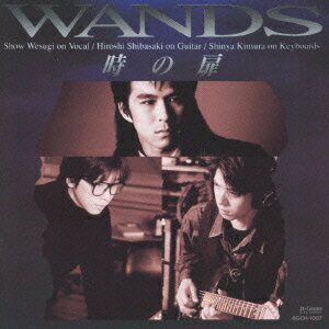 時の扉 [ WANDS ]のサムネイル